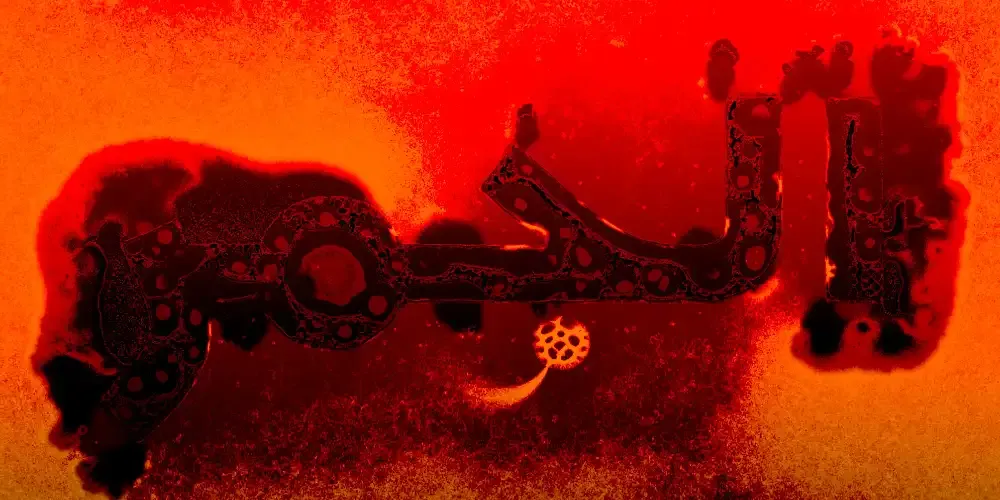 Play with Tosh Physarum